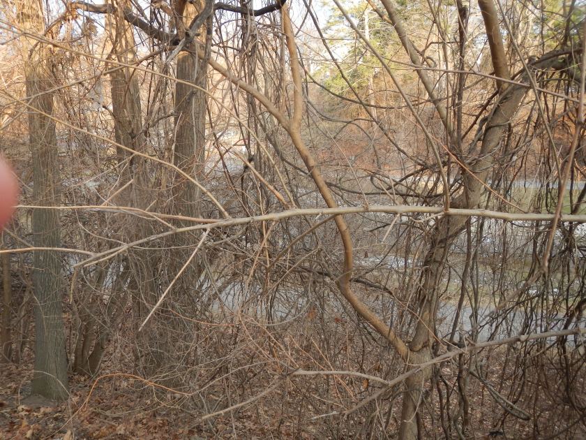 Park From Transformer